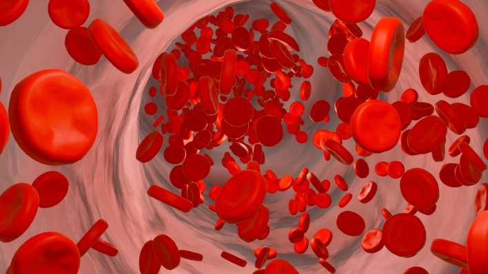 Grafik Blutzellen fließen durch eine Vene