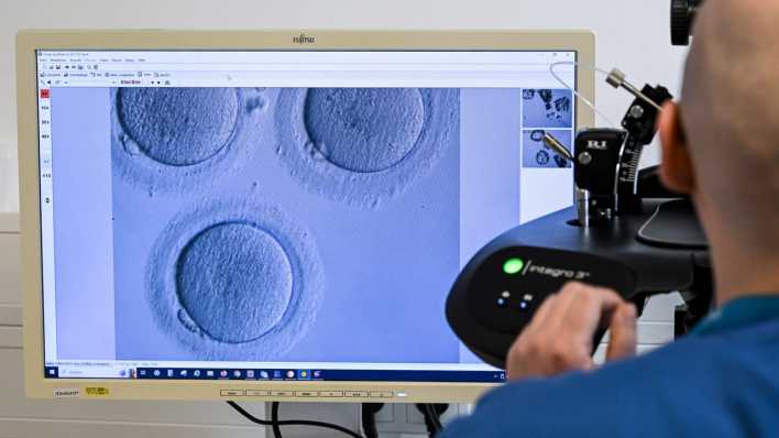 Im Zelllabor im Fertility Center Berlin wird mit Hilfe eines Elektronenmikroskops die Befruchtung einer Eizelle durchgeführt.