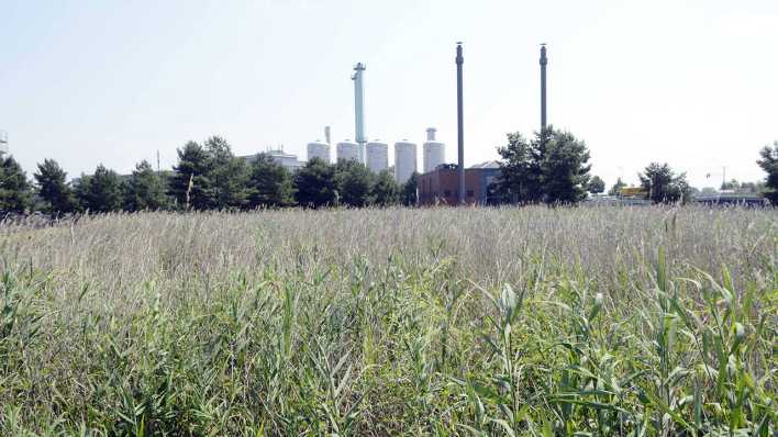 Abwasserpumpwerk in Adlershof (Quelle: imago/Bernd Friedel)