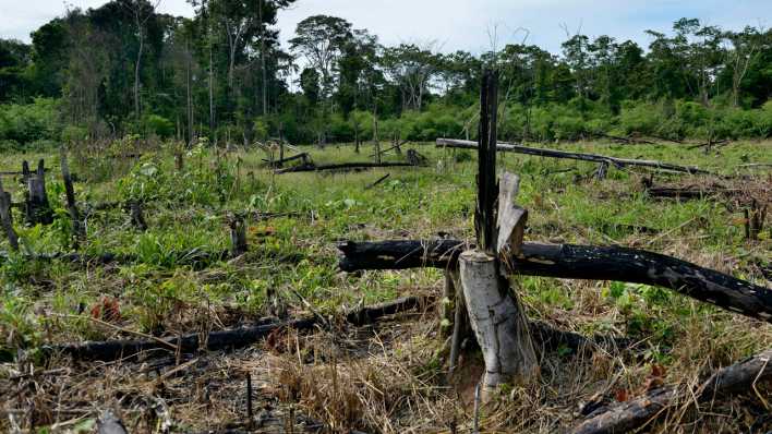 Lage Am Amazonas Schlimmer Denn Je Inforadio