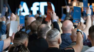 Krisen und Ampel haben AfD stark gemacht - der Aufstieg einer  Rechtsaußen-Partei - FOCUS online