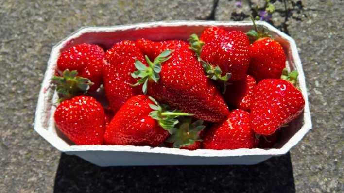 Frische Erdbeeren