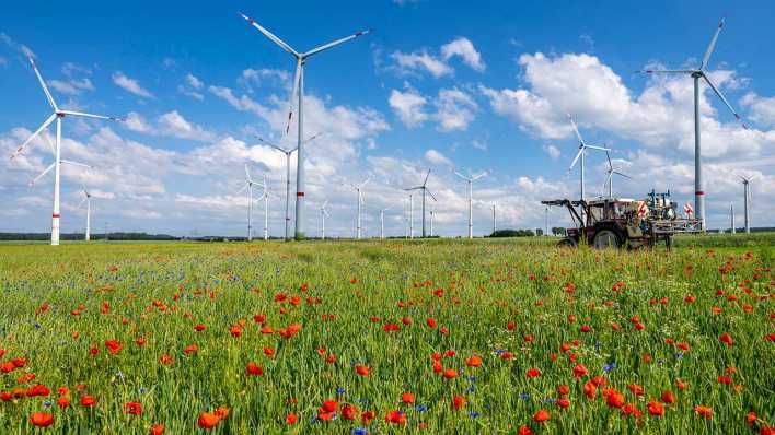 Mohn- und Kornblumen in einem Blühstreifen in einem Feld - im Hintergrund sind ein Traktor und Windräder zu sehen.