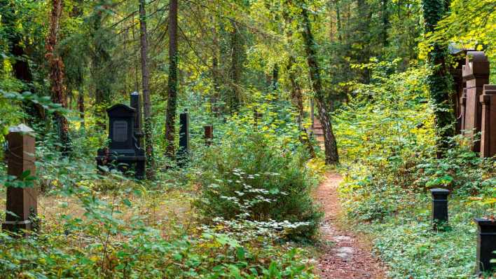 Wald und Gräber auf dem Südwest-Kirchhof in Stahnsdorf