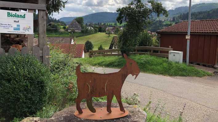 Schwarzwald (Bild: ARD/Astrid Kretschmer)