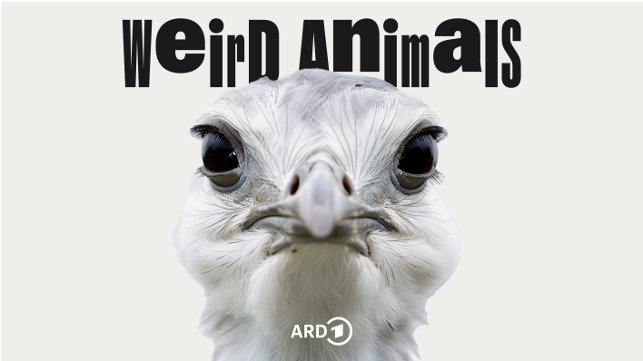 Cover Weird Animals Folge 3 Großtrappe