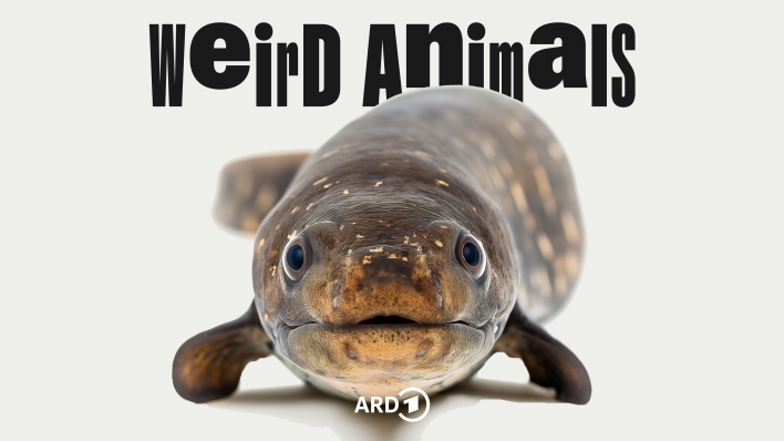 Weird Animals Folge 4 Aal