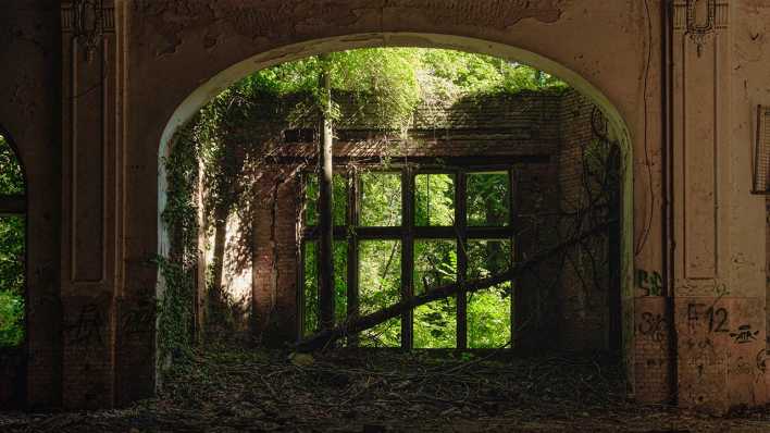 Beelitz-Heilstätten: In der Ruine des Speisesaals im Alpen-Haus.