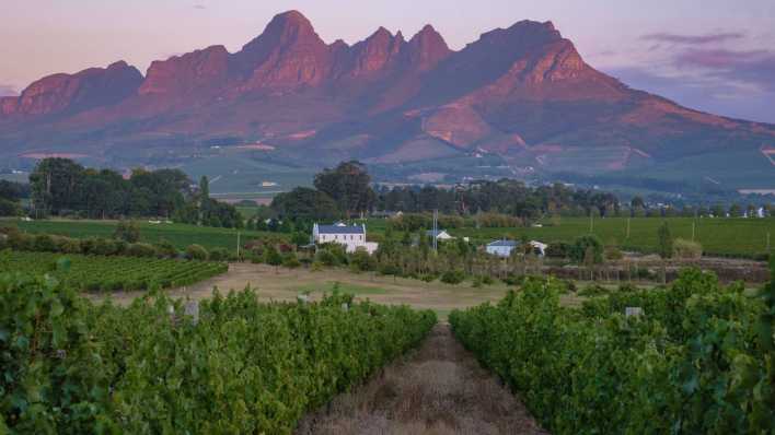 Blick auf ein Weingut in der von Stellenbiosch in Südafrika (Foto: imago images / Zoonar)