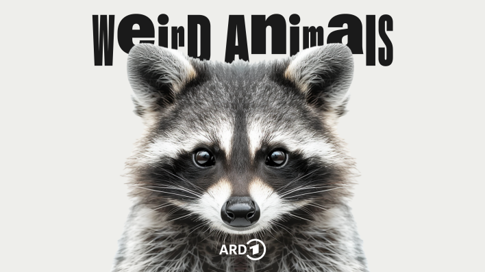 Weird Animals Folge 9 Waschbär