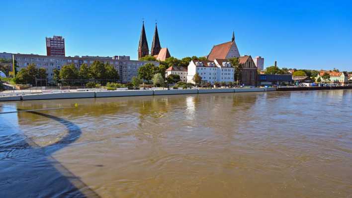 Oder in Frankfurt führt mehr Wasser als gewöhnlich