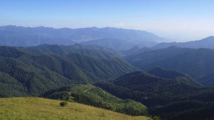 Landschaft im Borjomi-Kharagauli Nationalpark, Georgien.