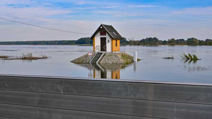 Am Pegelhaus von Ratzdorf an der Oder wurde eine mobile Hochwasserschutzwand aufgebaut.