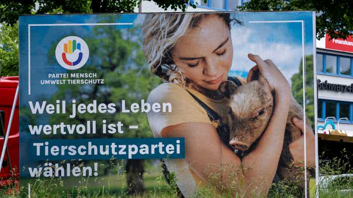 Ein Wahlplakat der Partei Mensch Umwelt Tierschutz mit der Aufschrift: Weil jedes Leben wertvoll ist - Tierschutzpartei wählen! (Bild: picture alliance/dpa/Revierfoto)