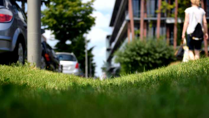 Rigolen am Strassenrand sorgen in Berlin für Reinigung und Ablauf von Regenwasser (Bild: picture alliance/dpa-Zentralbild/Britta Pedersen)