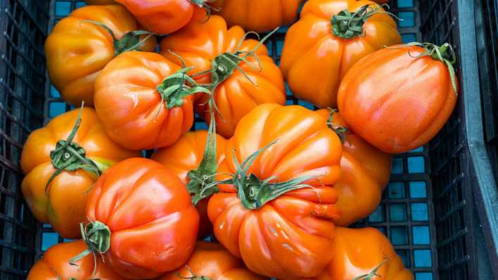 Frisch geerntete Tomaten liegen in einer Kiste an einem Marktstand.