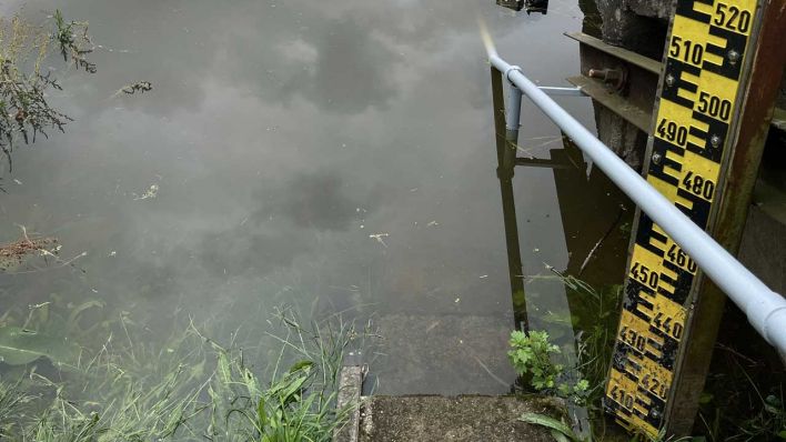 Wasserstand im Oderbruch (Bild: rbb/Bruno Dietl)