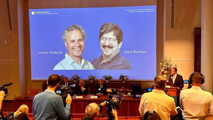 DerSekretär der Nobelversammlung verkündet die Gewinner des Nobelpreises für Medizin 2024, Victor Ambros und Gary Ruvkun, von denen Fotos auf eine Leinwand projiziert werden.