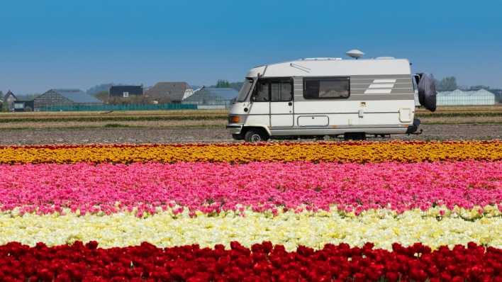 Wohnmobil vor einem Tulpenfeld (Bild: picture alliance/imageBROKER/Franz Walter)