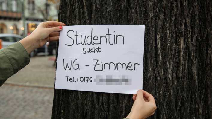 Wohnungsgesuche von Studenten an Anschlagsäule und Baum