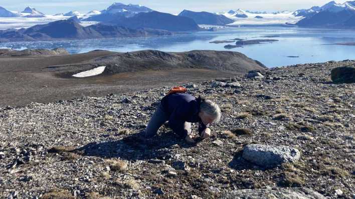 Prof. Hans-Peter Grossart in Spitbergen bei Ny Olesund (bild: privat)