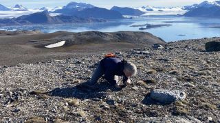 Prof. Hans-Peter Grossart in Spitbergen bei Ny Olesund (bild: privat)