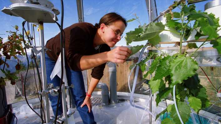 Klimaforschungsstation des Fraunhofer-Instituts