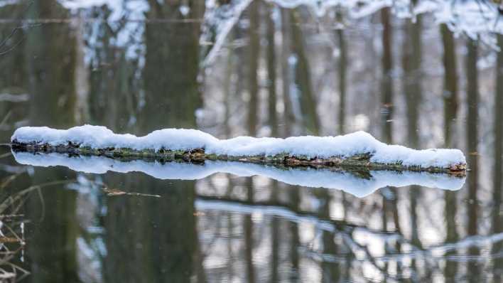 Ein mit Schnee bedeckter Ast liegt in einem Fließ im Spreewald (Bild: picture alliance/dpa/Frank Hammerschmidt)