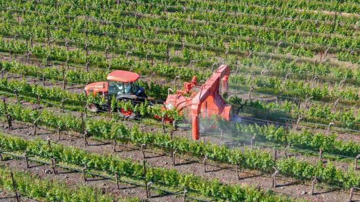 Kalifornien: Einsatz von Pestiziden im Weinbau (Bild: IMAGO/Zoonar.com/Thomas De Wever)