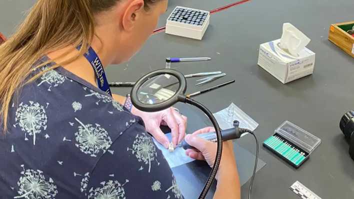 Geochemikerin Tina Lüdecke bei der Arbeit