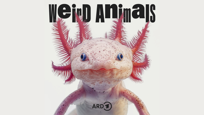 Podcast Weird Animals